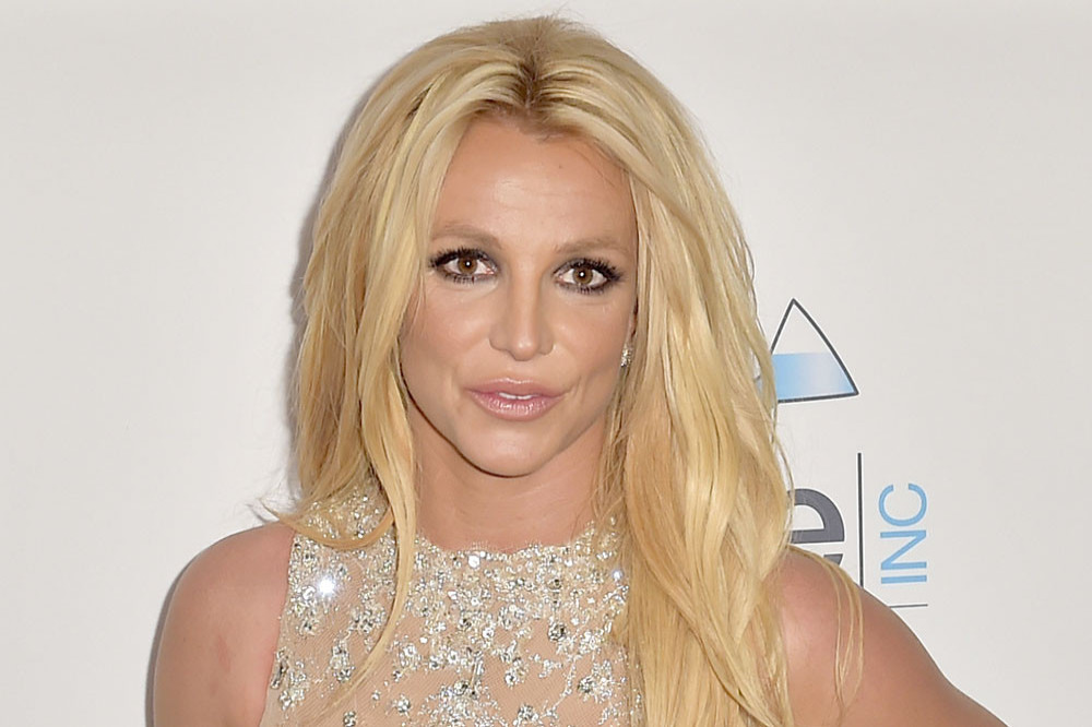 Britney Spears wants more kids?