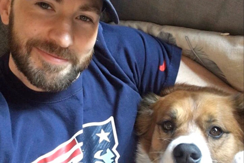 Chris Evans and his dog Dodger (c X)