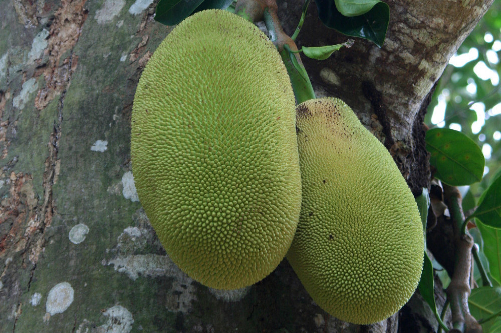 Durian is tipped to be the year's hottest food craze