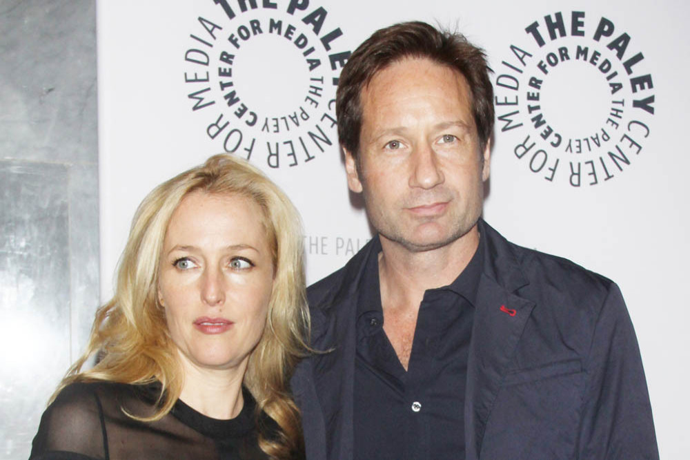 Gillian Anderson and David Duchovny starred on the hit sci-fi show