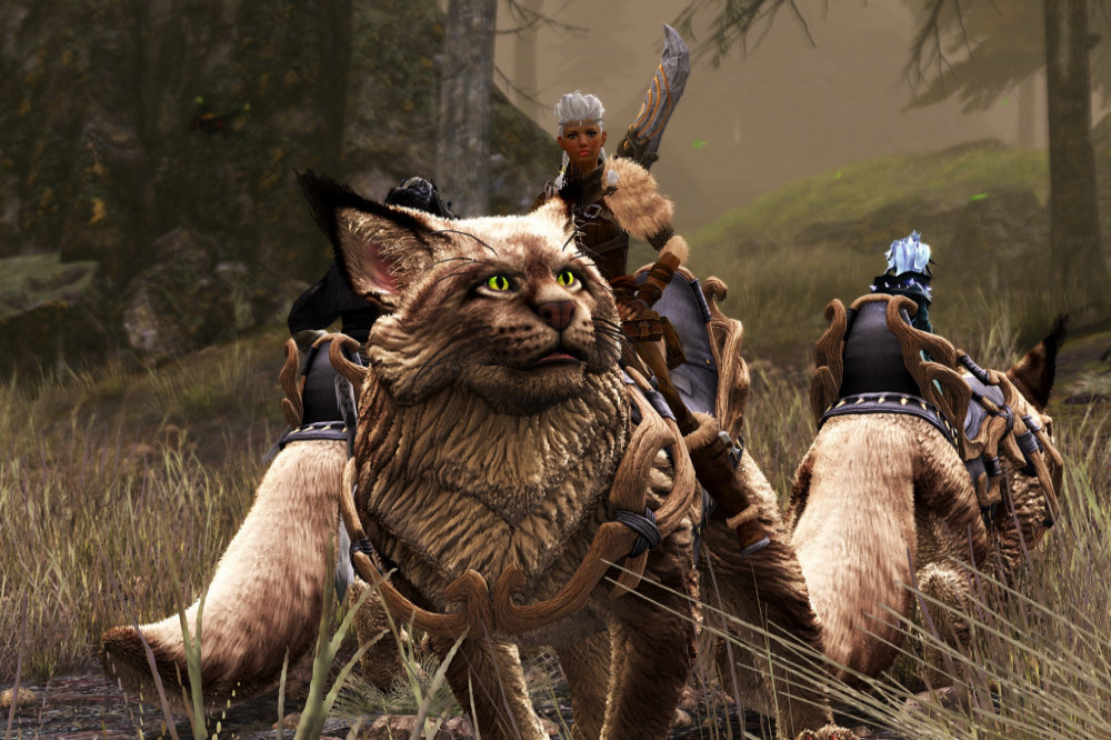 Guild Wars 2’s fifth DLC Janthir Wilds has launched