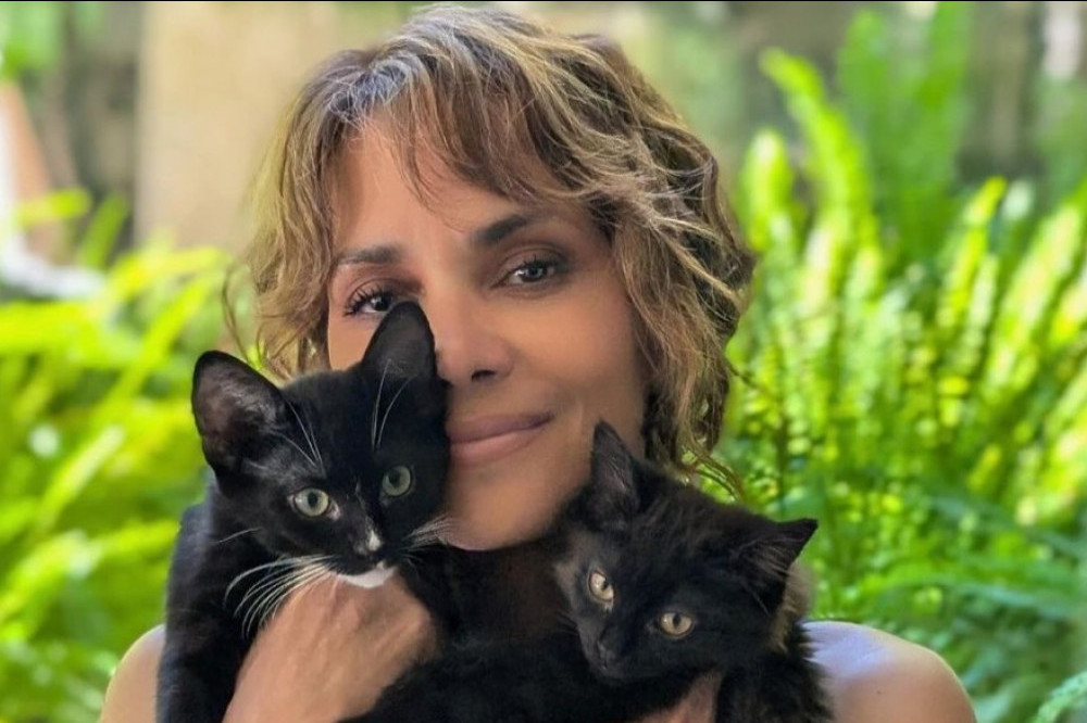 Halle Berry stripped and covered her chest with two of her cats to celebrate the 20th anniversary of her ‘Catwoman’ film