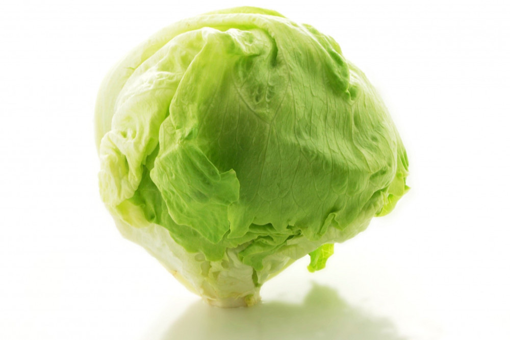 Lettuce is an effective method of pain relief