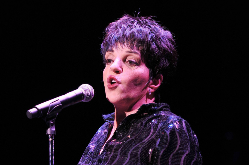 Liza Minnelli's life story is heading to TV