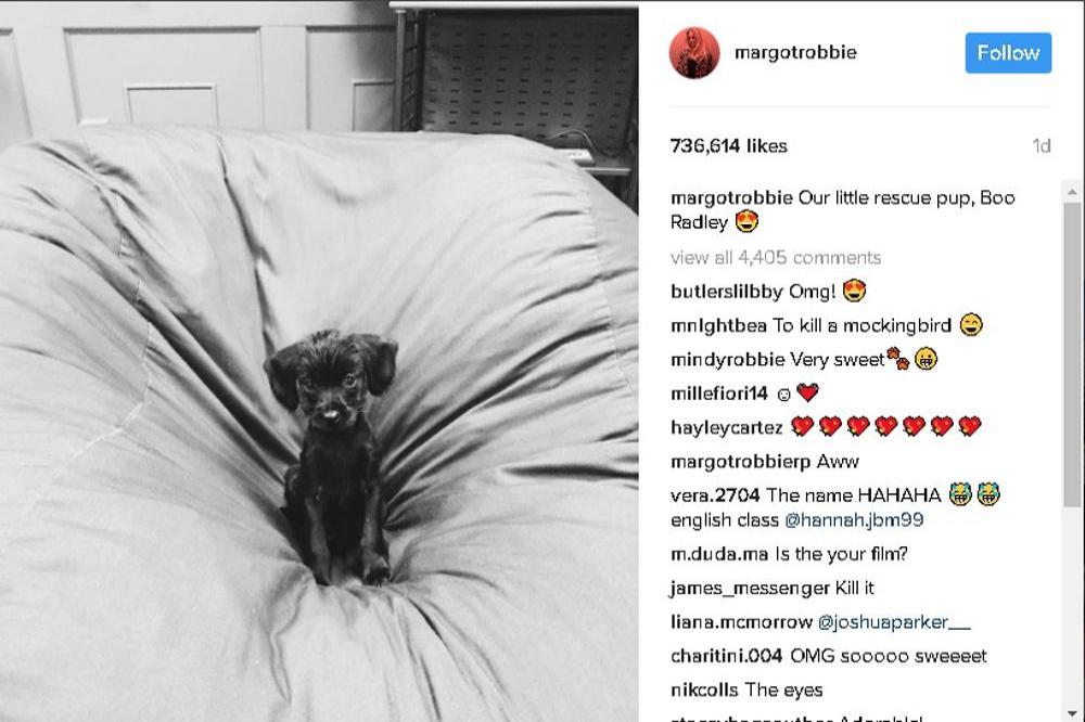 Margot Robbie's pet dog (c) Instagram