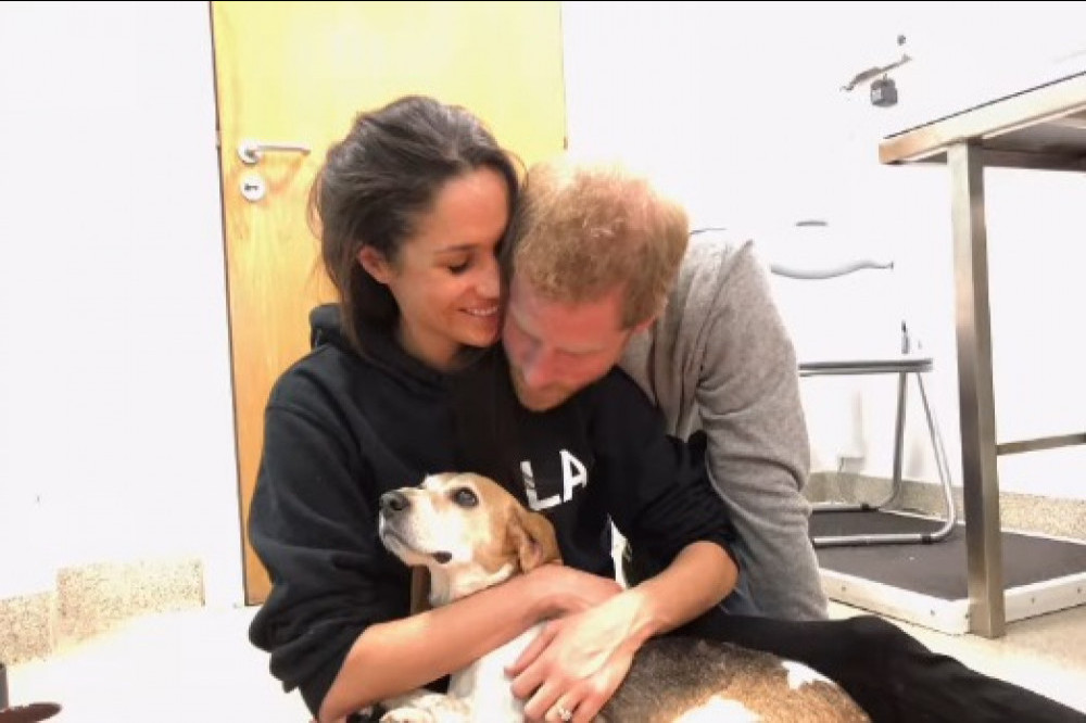 Meghan, Duchess of Sussex has announced the death of her rescue dog Guy