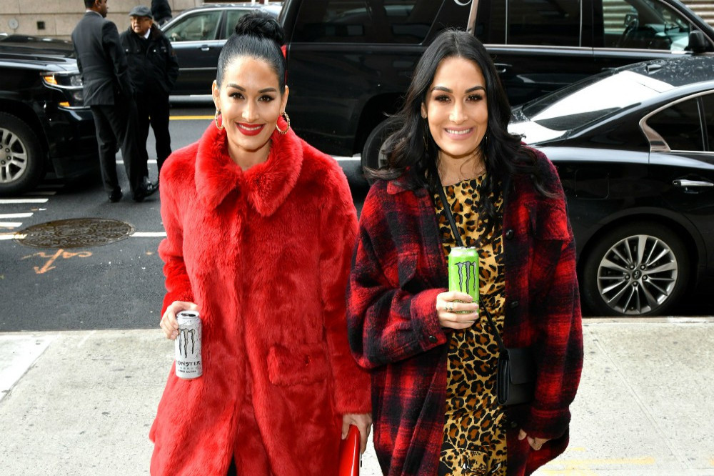 Nikki and Brie Bella