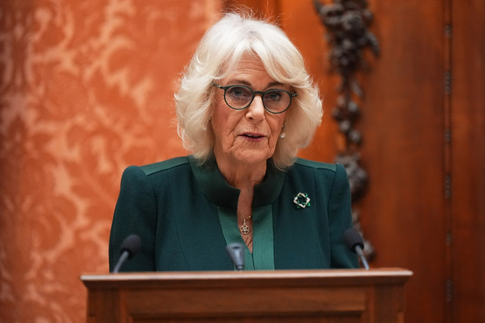 Queen Camilla met Toby Stephens at a Buckingham Palace reception