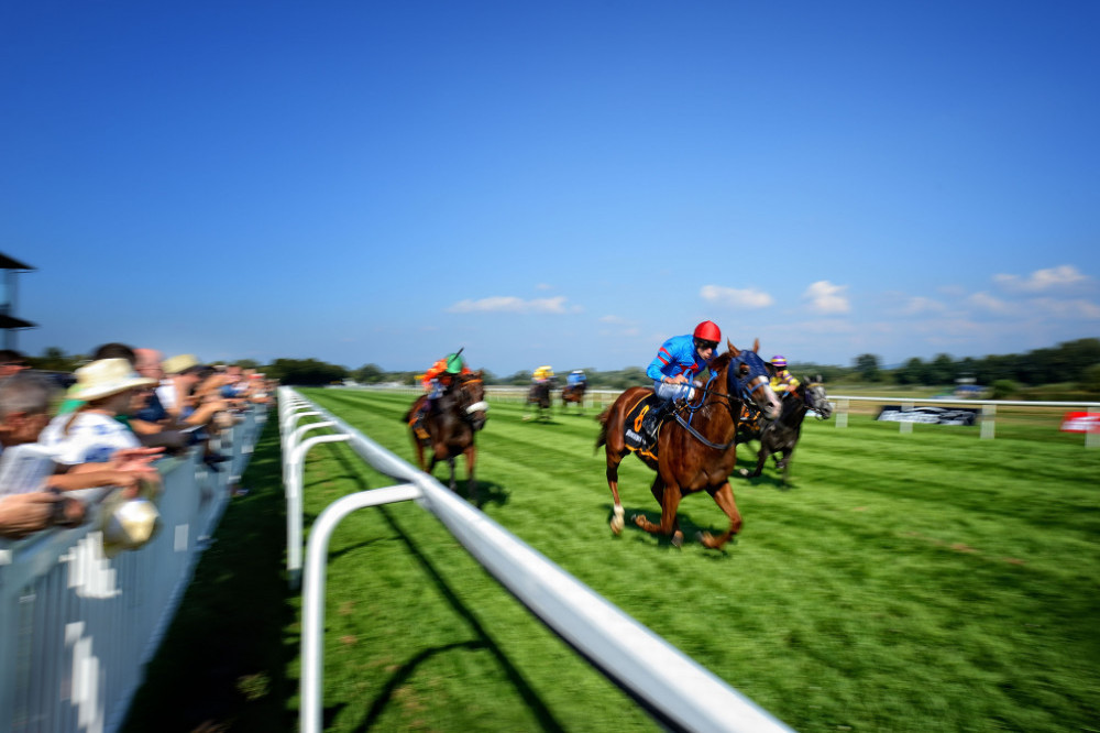 Racehorse poo can show if the animal will be a winner on the course