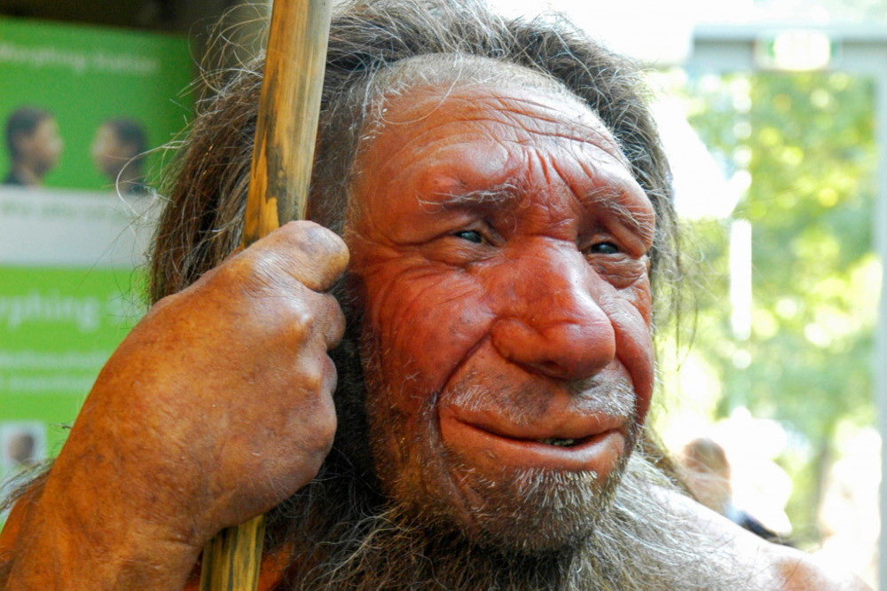 Research has found that Neanderthals were smarter than thought