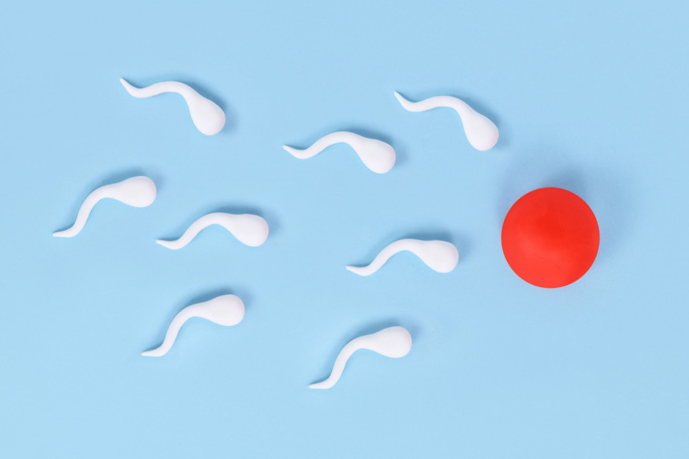 Sperm quality has suffered due to the coronavirus pandemic