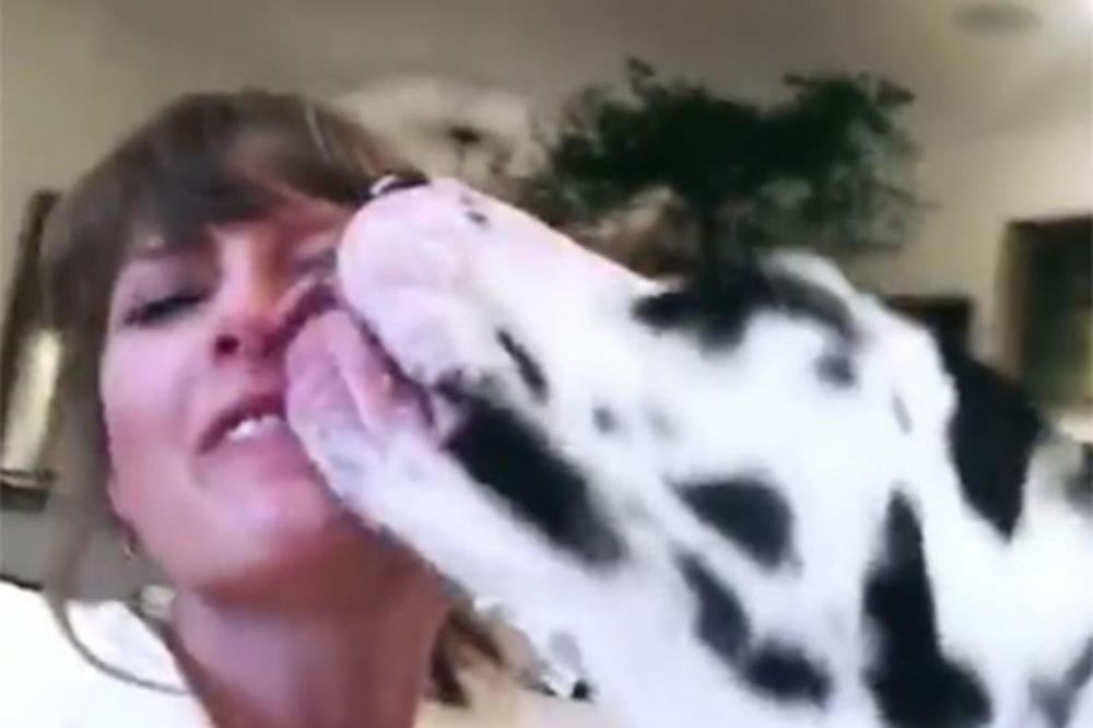 Taylor Swift licked by mom's dog Kitty (c) Instagram 