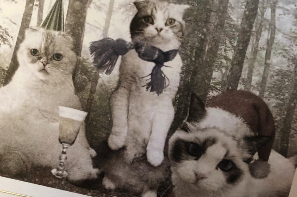 Taylor Swift's Christmas cards via Twitter (c)