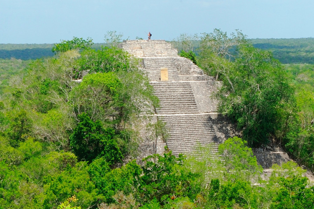 The lost Mayan city has temples like Calakmul