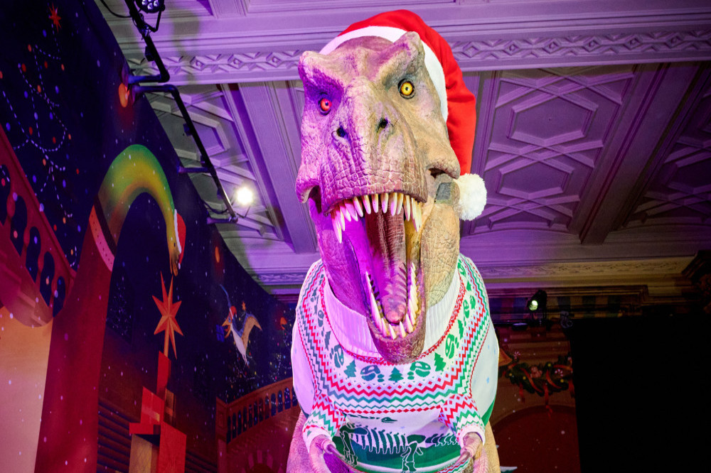 The Natural History Museum's Christmas display has been unveiled