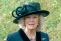 Camilla, Duchess of Cornwall is said to be a fan of bee venom products