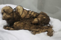 A man in Peru has been living with an 800-year-old mummy