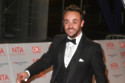 Ant McPartlin loves being a dad