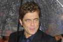 Benicio del Toro