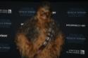 Chewbacca