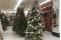 People are being urged to eat Christmas trees