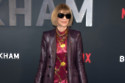 Dame Anna Wintour is adamant politics needs to meet fashion