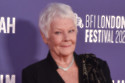 Dame Judi Dench has said she has no plans for any more acting jobs as she ‘can’t even see’