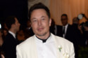 Elon Musk offers to help Tonga