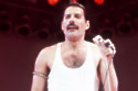 Freddie Mercury