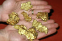 Gold Nuggets