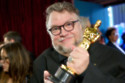 Guillermo del Toro has called for more support for animation after the Oscar win for 'Pinocchio'