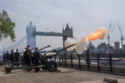 Gun salute marks first anniversary of King Chares' accession to the throne