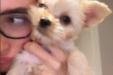 Hailey Bieber's pet pooch provided inspiration for the name of one of her Pocket Blushes