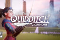 Harry Potter: Quidditch Champions To Release On September 3