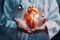 Heart muscle can be 'regenerated' using shockwaves