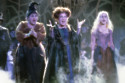 Hocus Pocus