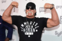 Hulk Hogan pulled the plug on his own biopic because he thought it was 'too dark' for the screen