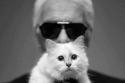 Karl Lagerfeld and Choupette (c) Instagram 