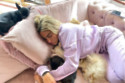 Katie Price has got her seventh dog after facing calls for her to be banned from owning pets