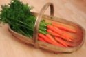 Carrots