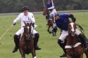 Prince William and Prince Harry playing polo