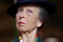Princess Anne can’t remember ‘a single thing’ about the head injury that left her hospitalised