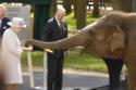 Queen Elizabeth and Prince Philip feed an elephant