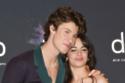 Shawn Mendes and Camila Cabello