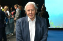 Sir David Attenborough stops himself from talking too much on his nature shows because the animals are the true stars