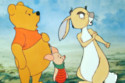 This won't be like any other Winnie the Pooh