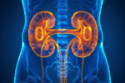 Weight loss and diabetes drugs could reduce the risk of kidney deterioration and failure