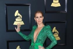 Celine Dion thinks pregnant Beyonce will need 'help' raising twins