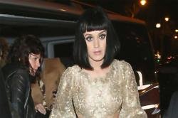 Katy Perry to star in Vin Diesel movie?