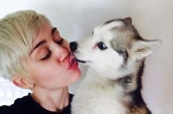 Miley Cyrus' beloved dog Floyd has died
